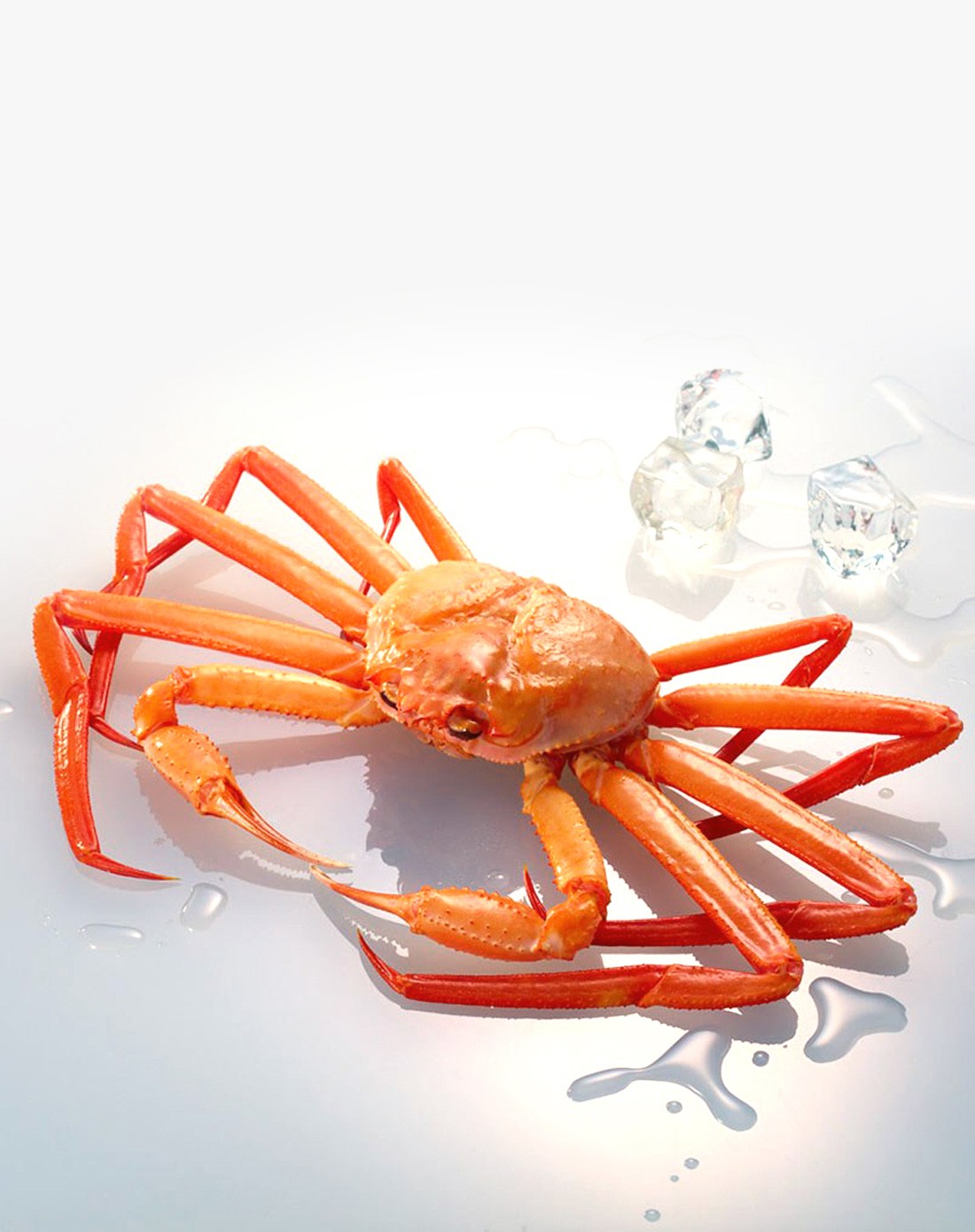 极致鲜美凡美天享加拿大船冻野生雪蟹