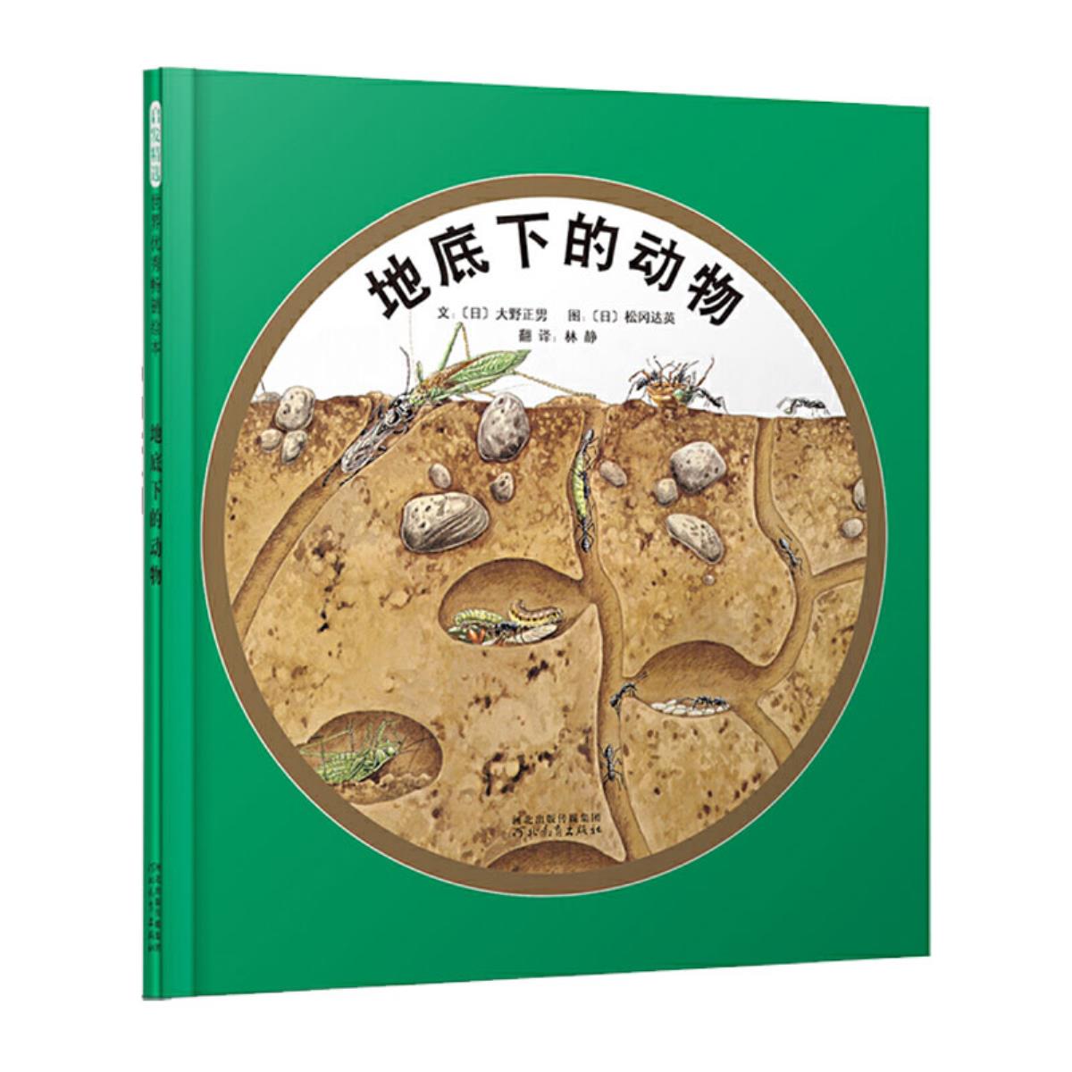 地底下的动物儿童绘本0234岁宝宝睡前故事幼儿园早教启