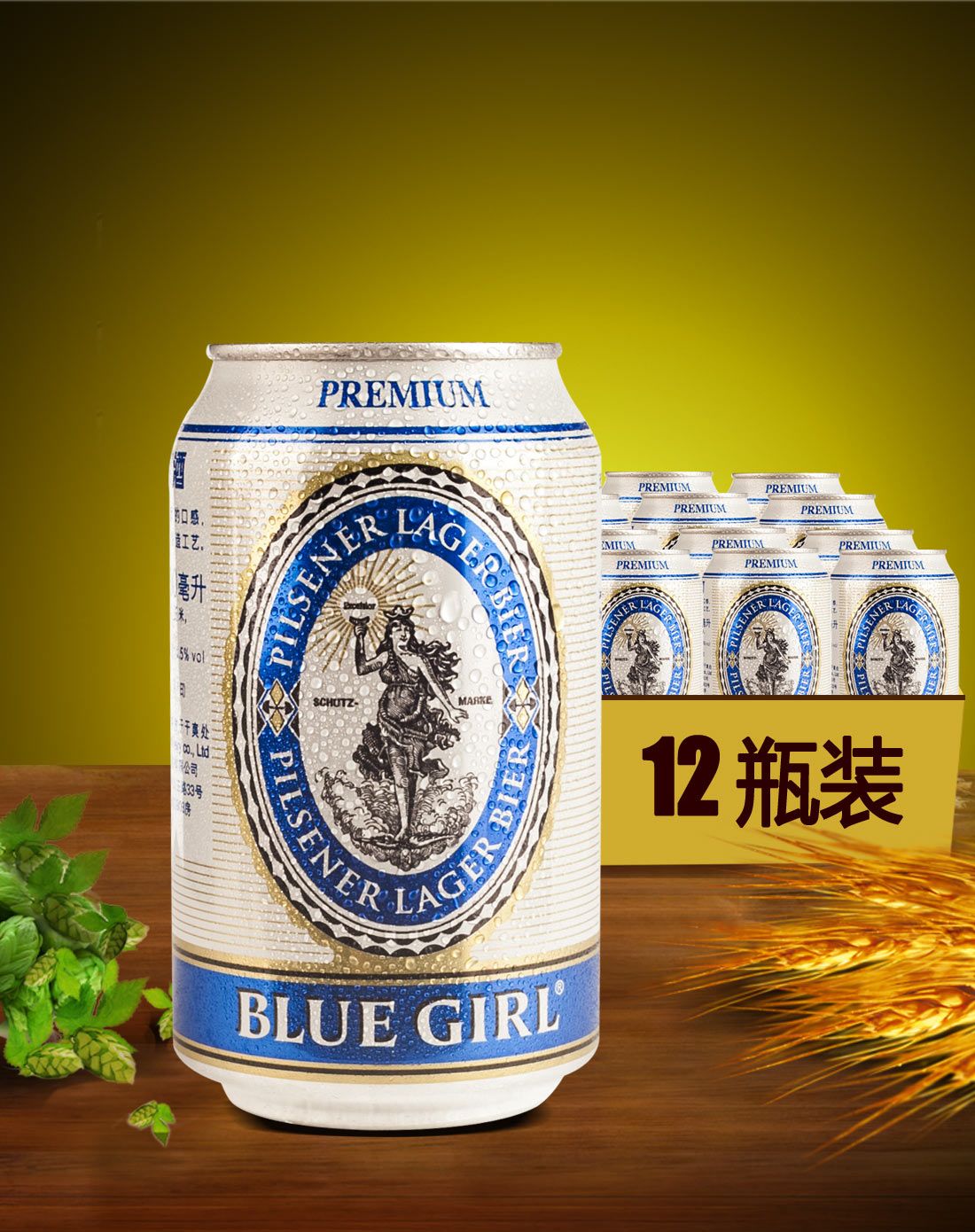 一直在等待像你那样的一个女孩蓝妹啤酒罐装330ml12