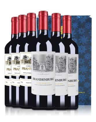 法国勃兰登堡干红6支送双支装礼袋1个