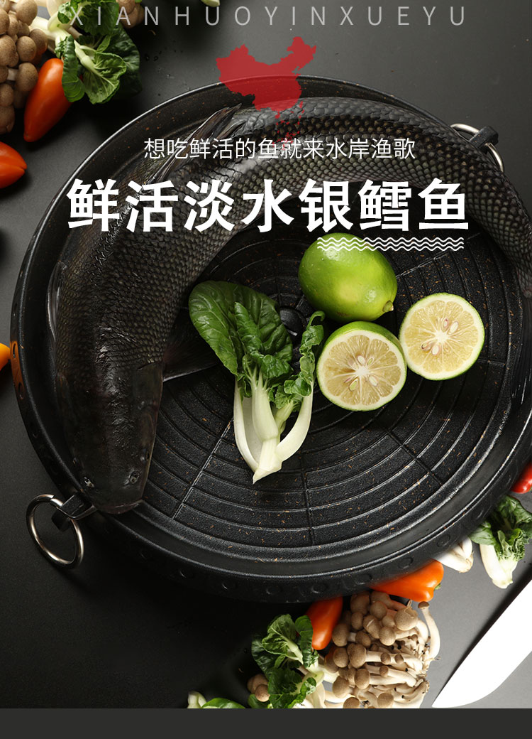 活鲜银鳕鱼25斤35斤装活鱼淡水鱼可做鳕鱼排鳕鱼块