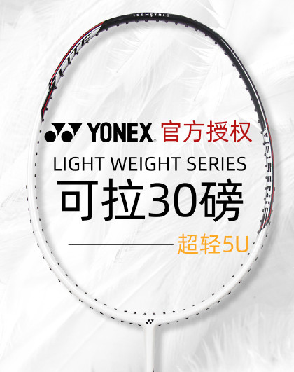 亚狮龙羽毛球训练比赛级用球飞行稳定落点精准耐打12只装