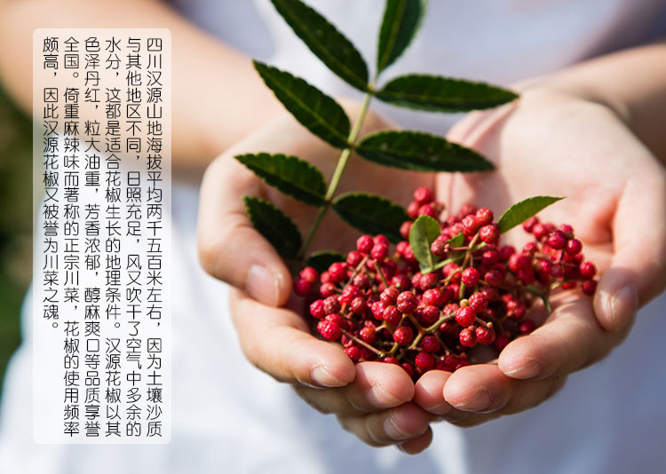 汉源县直采红花椒 汉源大红袍花椒 汉源贡椒