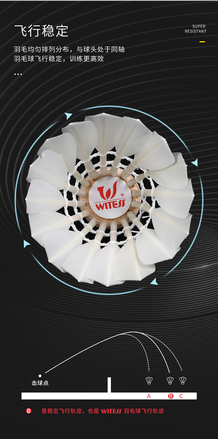 witess羽毛球耐打王正品不易打烂白色鸭毛球6只装专业黑毛