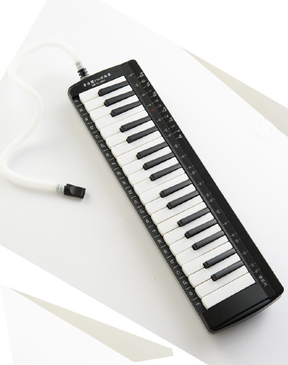 天鹅口风琴37/32键学生用初学儿童成人教学口琴专业吹奏乐器