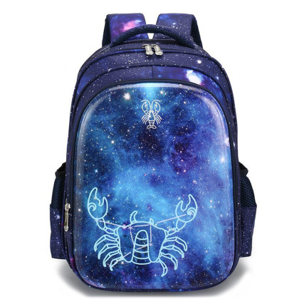 十二星座1-5年级小学生大容量双肩背包男童男孩儿童书包