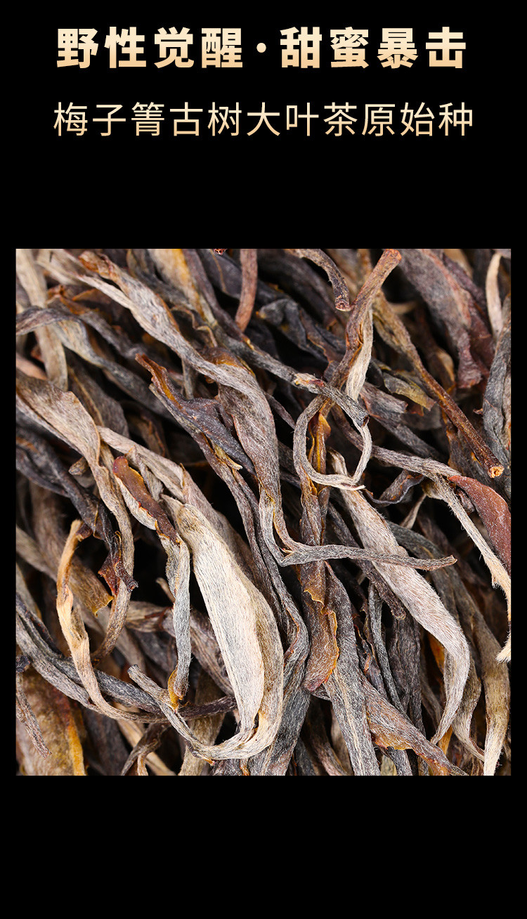 梅子箐古树茶2022年云南普洱茶生茶散茶生普洱礼盒装茶叶500g
