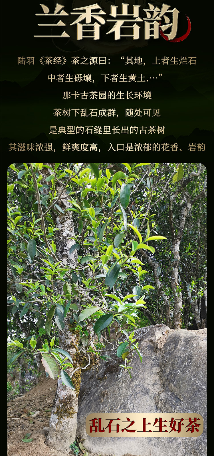 古500那卡2021年古树茶春茶饼云南普洱茶生茶饼茶叶357g