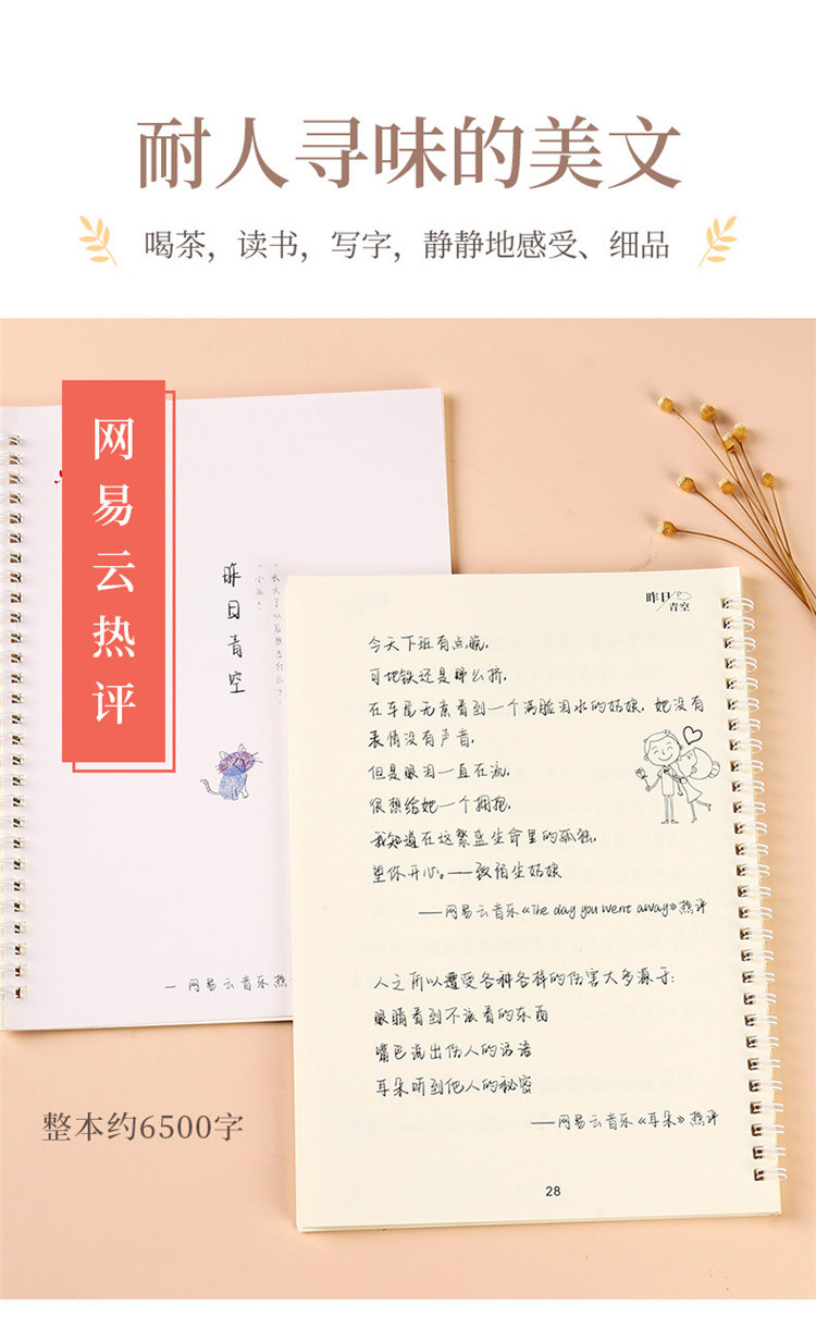 女生小清新行楷书字帖抖音网红奶酪陷阱体字帖描红练字帖