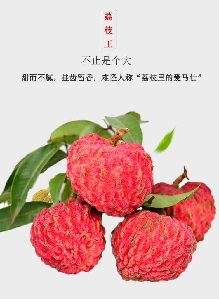 福建荔枝王蜜丁香超大荔枝新鲜水果净重45斤应季整箱妃子笑