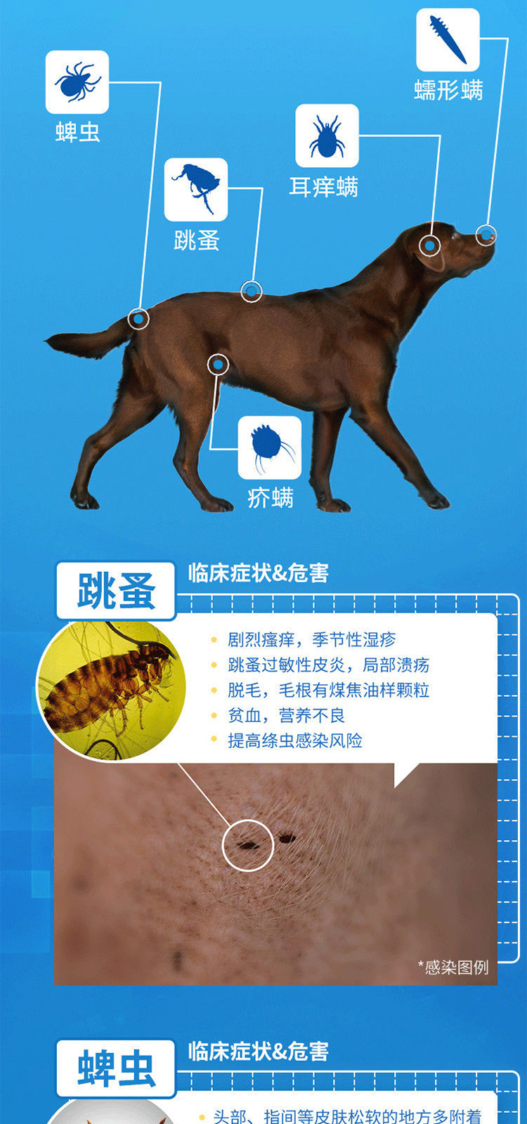 超可信狗狗驱虫药体内外一体驱虫体外跳蚤药蜱虫犬用中小型大型犬