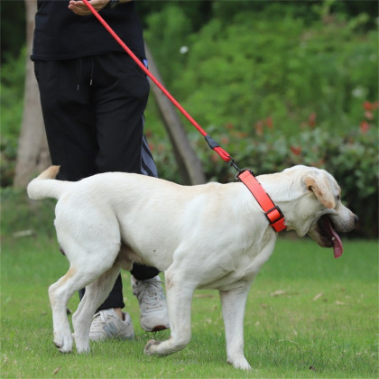 狗狗项圈狗圈脖圈比熊柴犬法斗小型中型大型犬脖子套宠物大狗颈圈