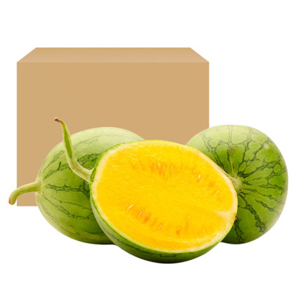 海南特小凤黄西瓜冰淇淋口感单个装单果45斤