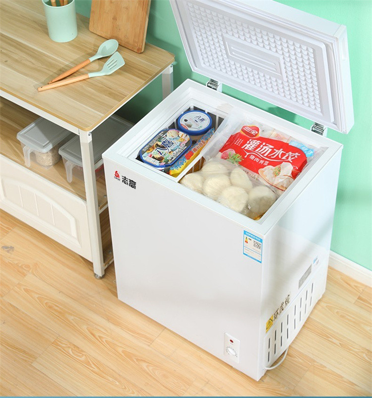 志高小冰柜家用小型迷你冷藏冷冻单温冷柜【省电款一级能耗】