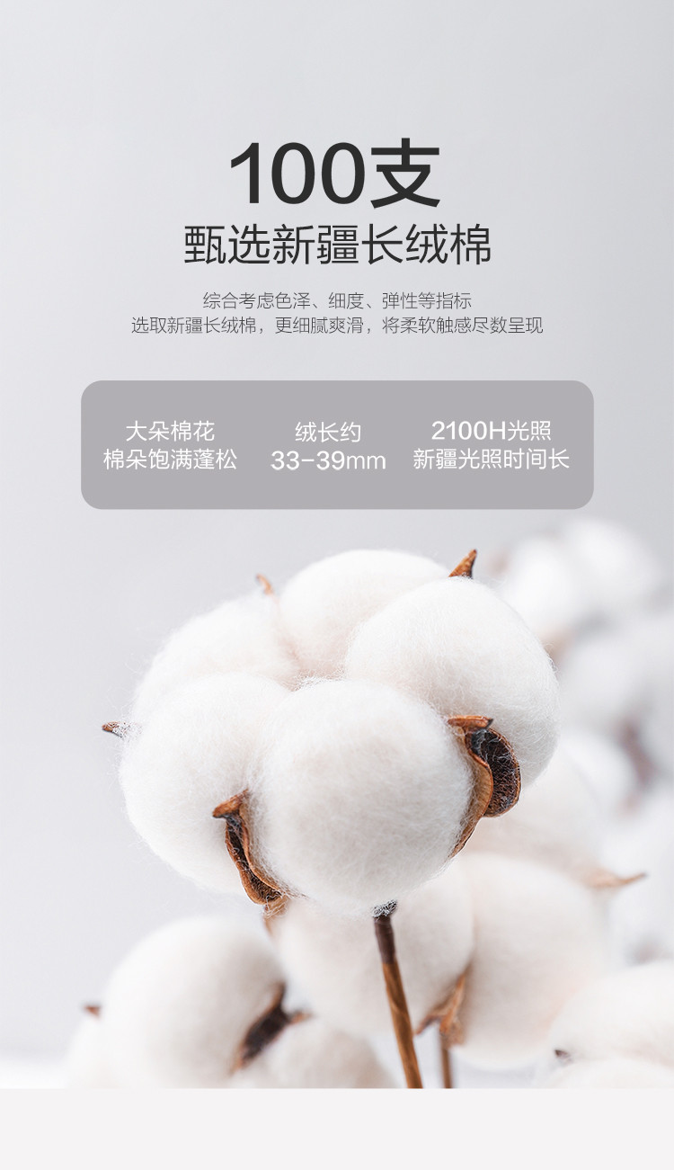 100支长绒棉四件套简约轻奢床上套件被套床单套件床上用品