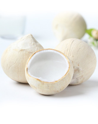 世果汇泰国椰王4个