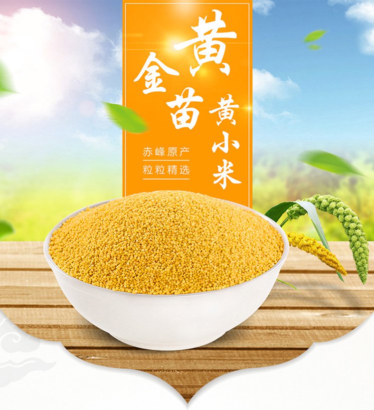 米味浓香 心意黄金苗黄小米475g