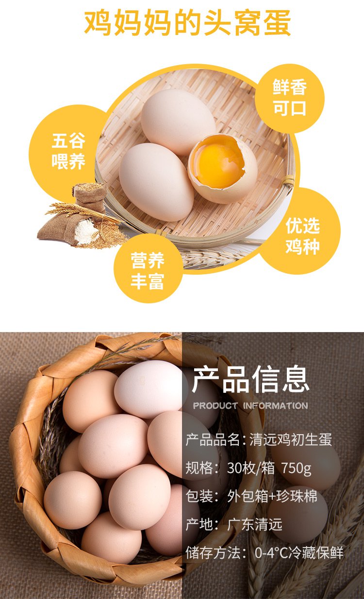 凤中皇清远鸡初生蛋