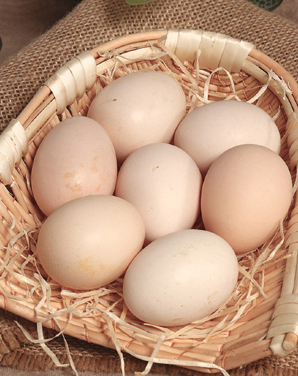 神丹 高山散养绿壳保洁鸡蛋 绿壳鲜鸡蛋 40枚装