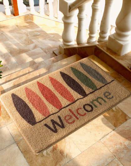 地垫垫子门垫脚垫入户门客厅进门家用地毯丝圈门厅入门门口防滑垫